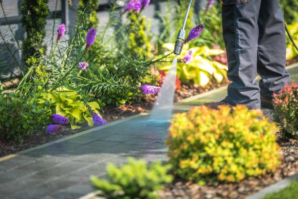 Best Driveway Pressure Washing  in Marina, CA