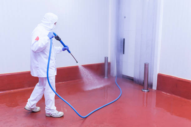 Best Rust Removal  in Marina, CA